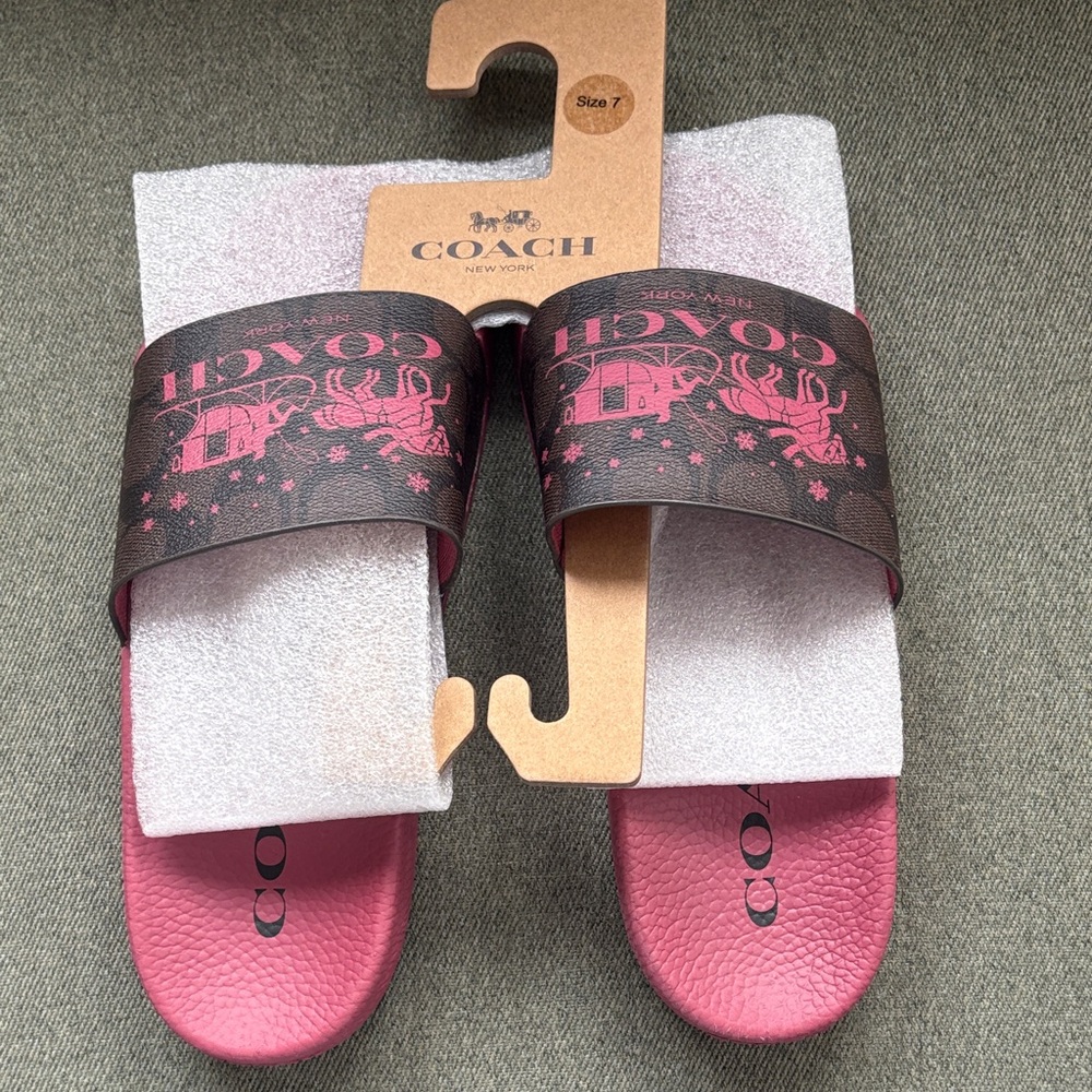 Coach Pink and Brown Slide Sandals